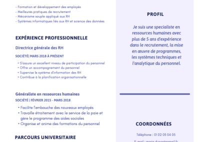 CV Français